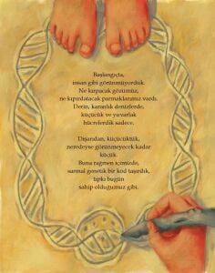 Bizim Büyük Ailemiz - Bir Evrim Öyküsü