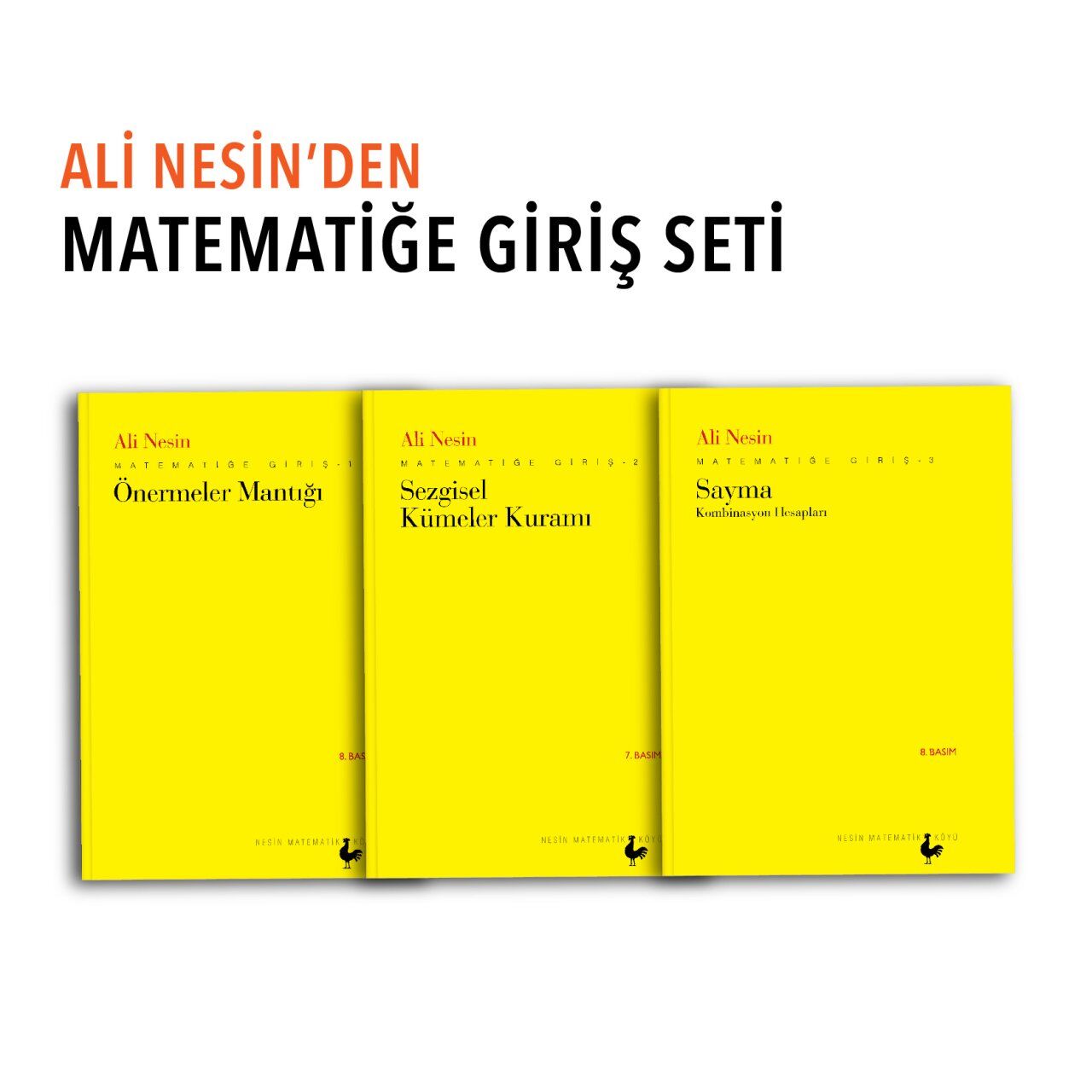 Ali Nesin'den Matematiğe Giriş Seti