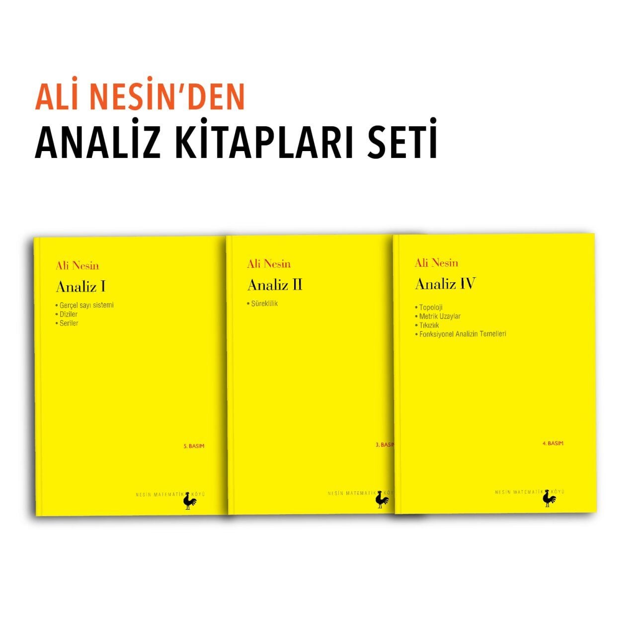Ali Nesin'den Analiz Kitapları Seti