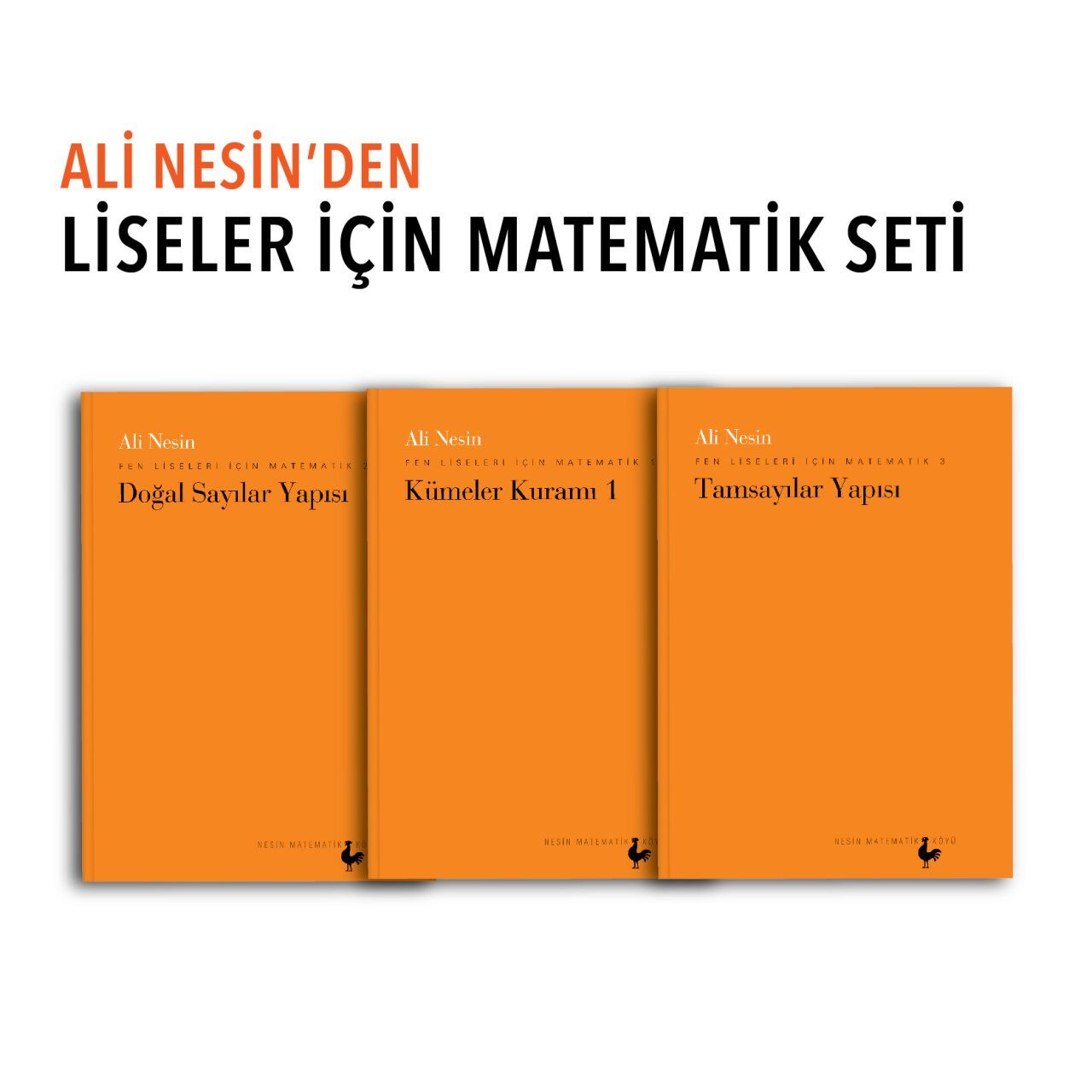 Fen Liseleri İçin Matematik Seti | Ali Nesin | Nesin Yayınevi
