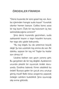 Ördekler Firarda