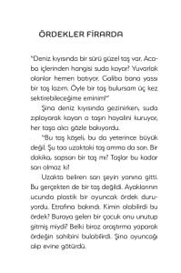 Ördekler Firarda