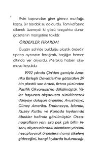 Ördekler Firarda