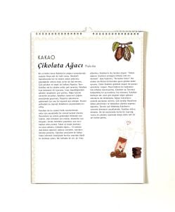 2025 Nesin Çocuk Takvimi - Sofralardan Masallara