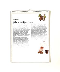 2025 Nesin Çocuk Takvimi - Sofralardan Masallara