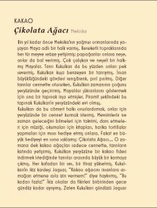 Nesin Tarihsiz Bir Ajanda - Sofralardan Masallara