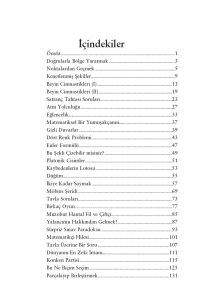 Matematik Canavarı