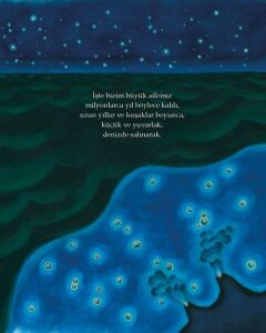 Bizim Büyük Ailemiz - Bir Evrim Öyküsü