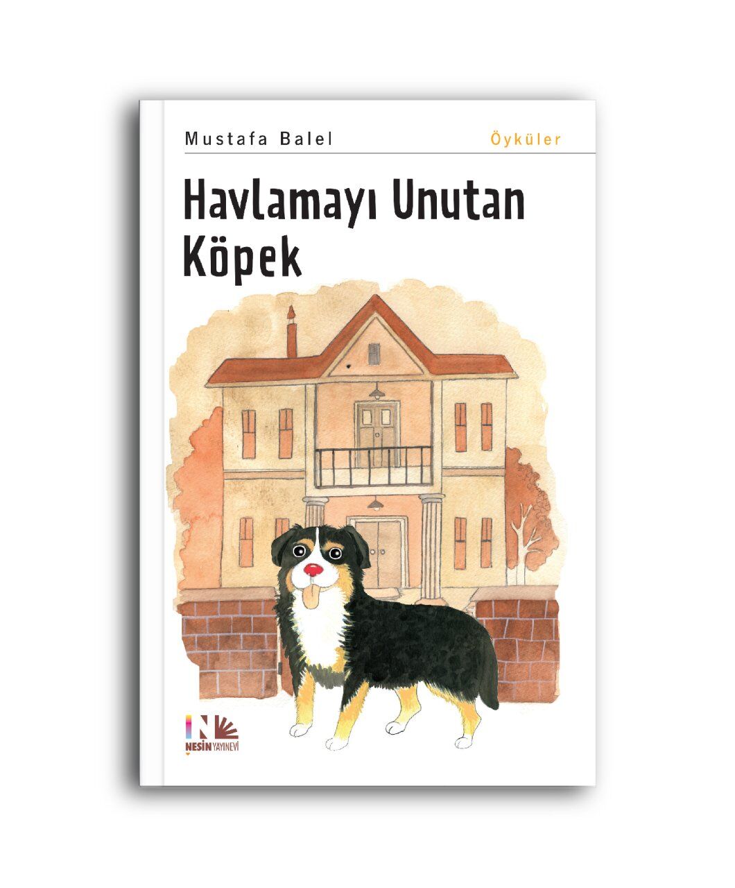 Havlamayı Unutan Köpek