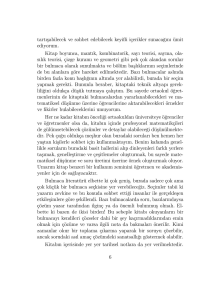 Meraklısına Meşhur Matematiksel Bulmacalar