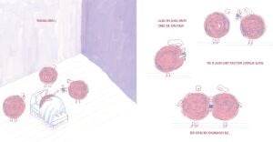 Dünya Yuvarlak Mı