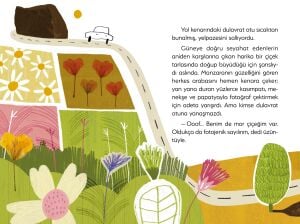 Bir Keşif Öyküsü