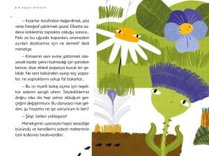 Bir Keşif Öyküsü