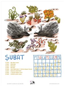 2020 Nesin Çocuk Takvimi