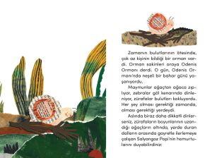 Ayakkabı Arayan Salyangoz