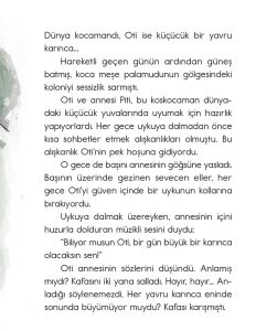 Oti Büyük Karınca